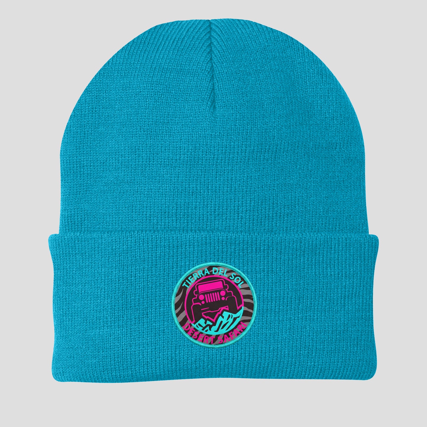TDS Circle Beanie