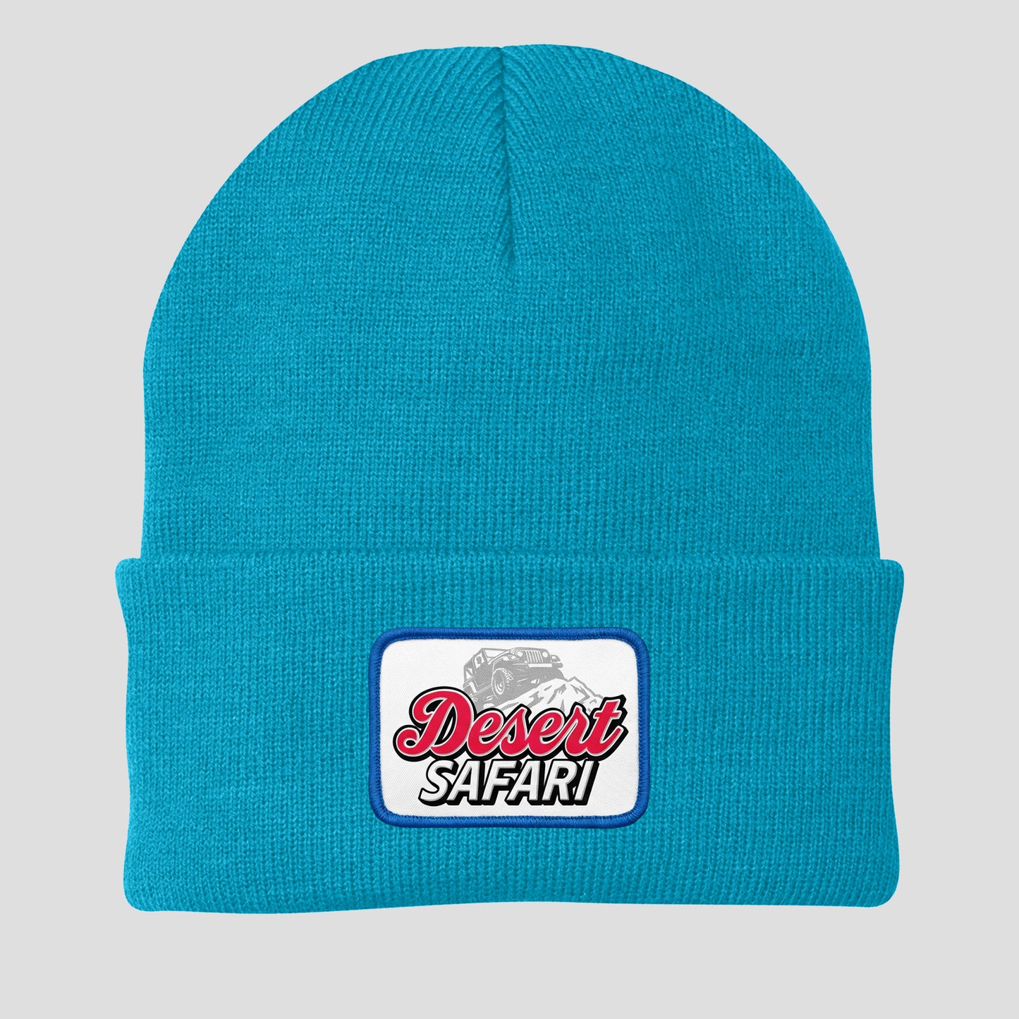 TDS Silver Bullet Beanies